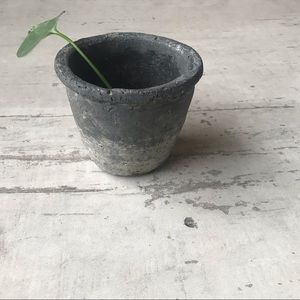 Plant Pot - Cement texture and color